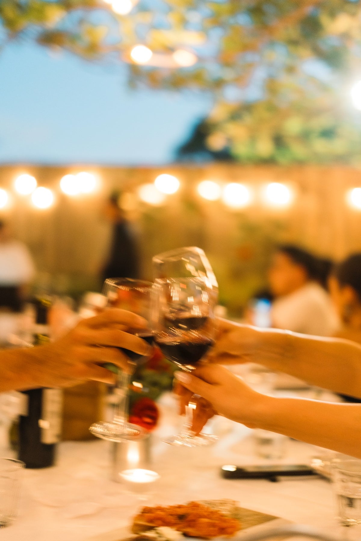 Guests raising glasses